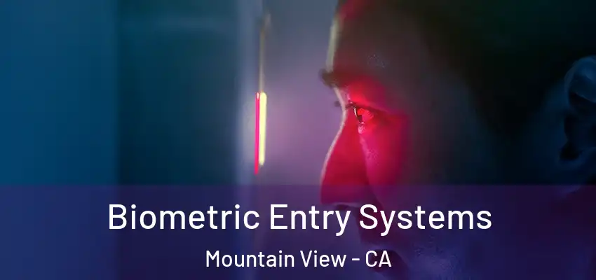Biometric Entry Systems Mountain View - CA
