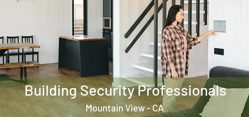 Building Security Professionals Mountain View - CA